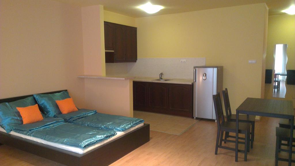Apartman 4 You Wellness 부다페스트 객실 사진